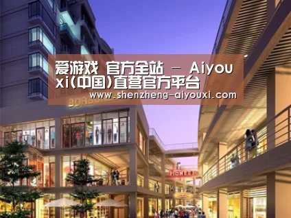 案例展示一