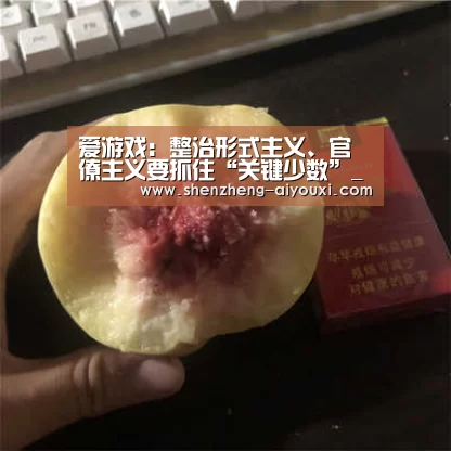爱游戏:整治形式主义、官僚主义要抓住“关键少数”_时事政治_中公教育网(图2) 爱游戏app