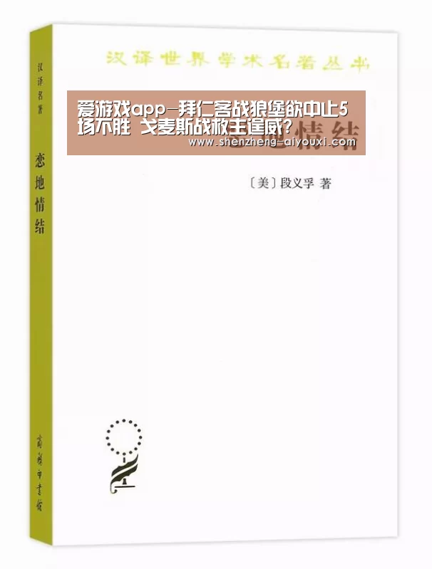 爱游戏